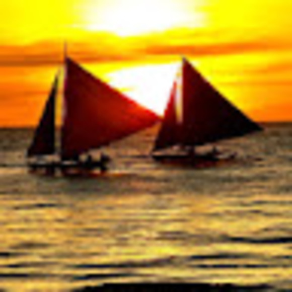 Meet your Posher, Joe - Picture 1 of 1